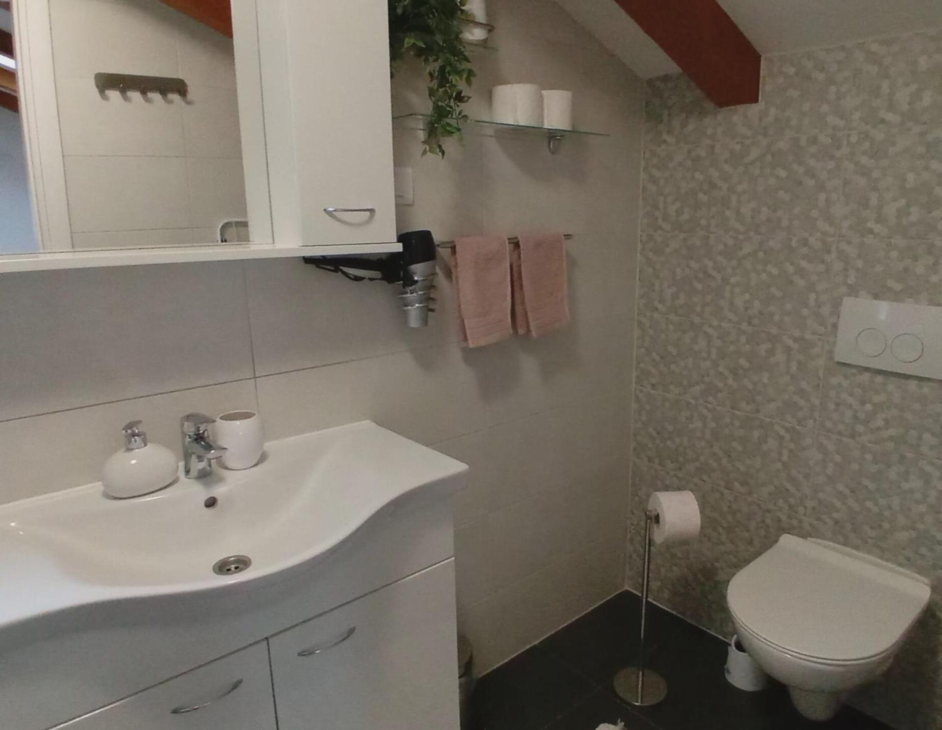 Apartman Diana,Free Parking 普拉 外观 照片